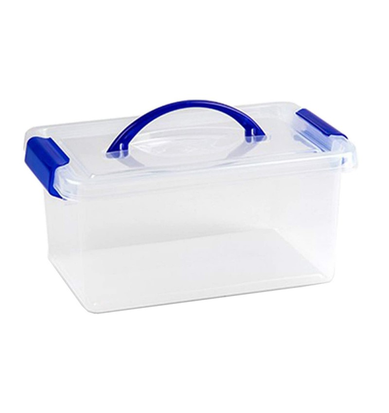 PlasticForte Caja de almacenamiento transparente